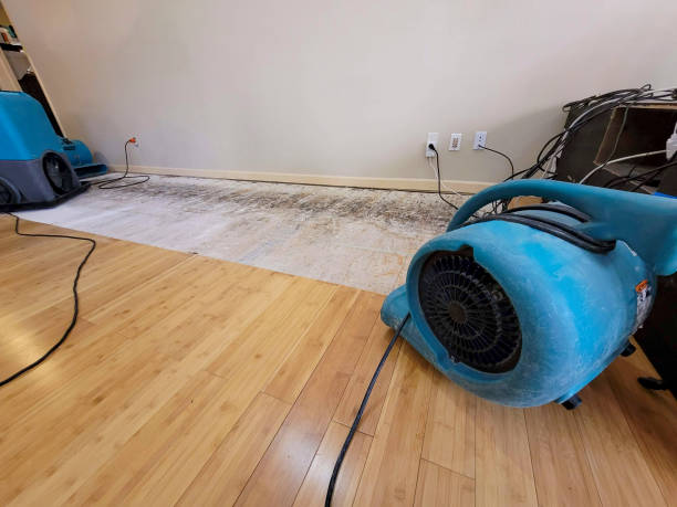 Professional Flood Damage Cleanup technician working in Strausstown, PA